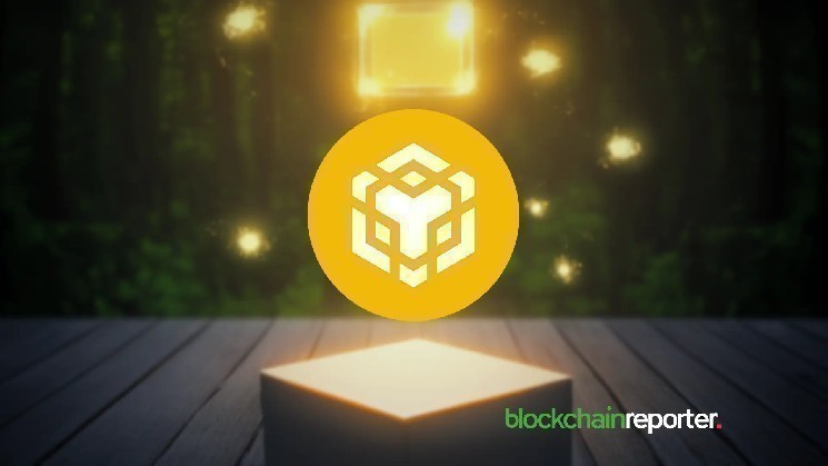 BNB Chain Leads Blockchain Rankings With 58M Monthly Active Addresses