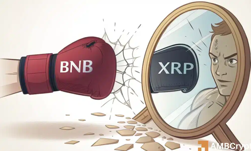 Decoding BNB’s strength as XRP loses ground in high-cap rankings