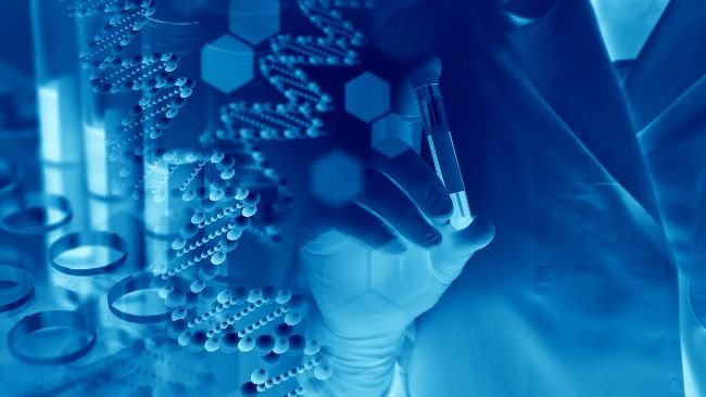 Brazil’s Economic Center São Paulo to Pilot Blockchain-Based Microloans for Farmers