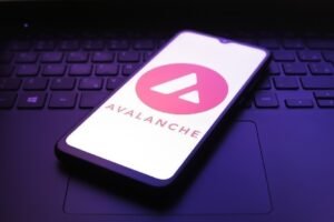 A guide to nine leading businesses on Avalanche network