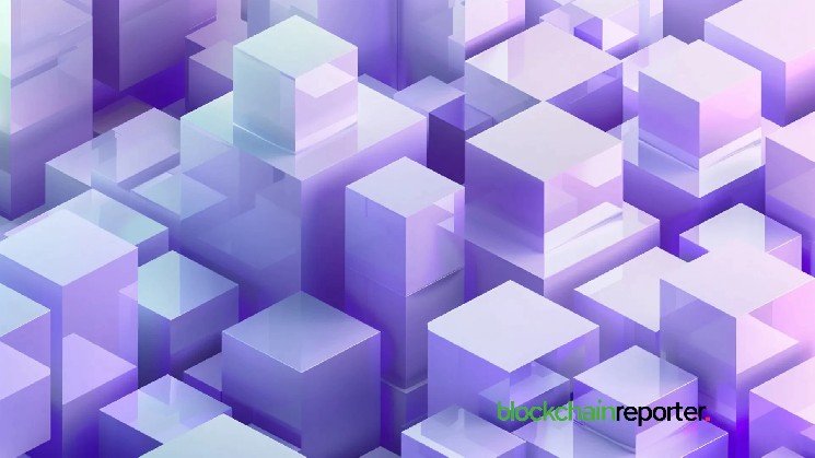 Filecoin Pushes Web3 Adoption With Permanent Storage Solution